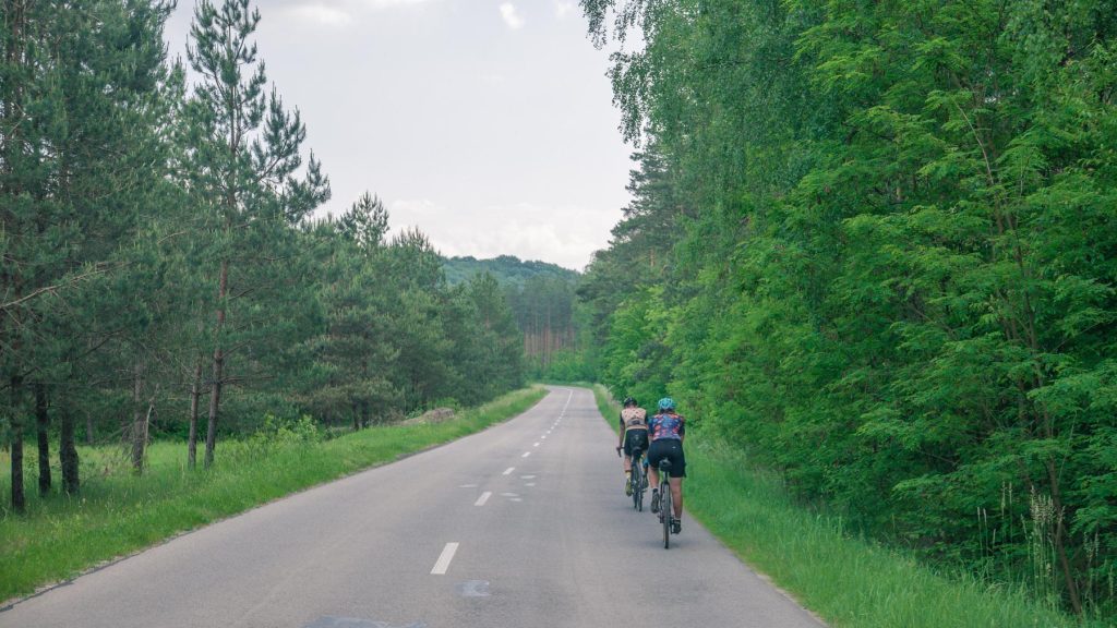 rowerowy szlak orlich gniazd